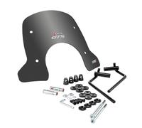 Faco 29210 Cúpula New Line ahumada oscura compatible con Piaggio Vespa GTS 125/300 (2023) Incluye soportes y material de montaje