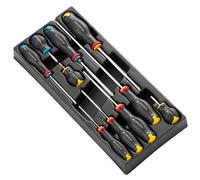 Facom MOD.AT5 - Módulo de 10 TORNEVIS PROTWIST® en bandeja termoformada (900 g)