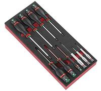 FACOM - Módulo de espuma para 10 destornilladores Protwist PM.MODA6, apto para siervas CHRONO, JET, CHRONO XL, JET XL y JET+, material resistente y duradero, adecuado para uso profesional