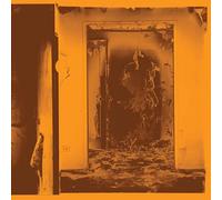 Facs - Present Tense [Vinilo Ltd Molten Metal]