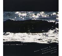 Factory Floor and Peter Gordon - Beachcombing / C Side