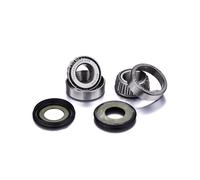 KIT DE RODAMIENTOS DE DIRECCIÓN PARA KTM SX 50/65/85 BETA TRIAL EVO 125 2T