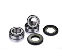 Factory Links Paquete de rodamientos - 63/22 2RS 10x