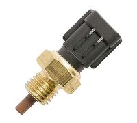 FAE 33181 Inyección de Combustible