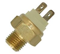 FAE 36060 Interruptor de Temperatura, Ventilador del Radiador