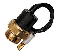 FAE 37480 Interruptor de Temperatura, Ventilador del Radiador