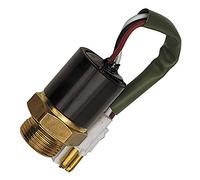 FAE 37890 Interruptor de Temperatura, Ventilador del Radiador