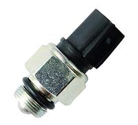 FAE 40596 Interruptores