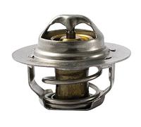 FAE 5205089 Termostato, Refrigerante