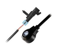 FAE 60244 Inyección de Combustible