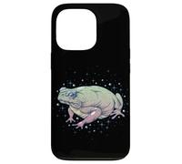FAE Fairy Witchy Whimsigoth Goblincore Cottagecore Toad Frog Carcasa para iPhone 13 Pro