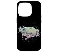 FAE Fairy Witchy Whimsigoth Goblincore Cottagecore Toad Frog Carcasa para iPhone 14 Pro