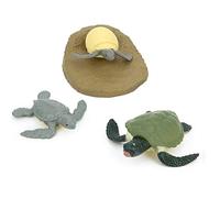 Fafeicy Animal Life Cycle Model Toy for Kids PVC Simulación de PVC Chick & Tortoise Growth Stages 4pcs Ciencias Educativas de Aprendizaje Juguete para la Escuela en el (Ciclo de Crecimiento de la