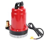 Fafeicy Bomba Sumergible de Corriente Directa de 180W y 12V, Elevación de 26 Pies, Salida de 1 Pulgada, Bomba de Pozo Profundo de Acero Inoxidable para Riego de Agricultura y Jardines