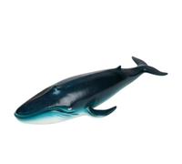 Fafeicy Juguete Modelo de Ballena Juguete de Animal Marino de Goma Suave 37 X 6 X 6 Cm Estatuilla de Ballena Azul Realista para Educación Temprana Juego Sensorial Juego de Roles Niños de (Goma Suave)