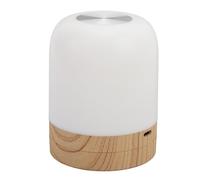 Fafeicy Luz Nocturna con Control Táctil, de Color RGB Regulable con Función de Memoria, Lazo Colgante para Niños, Adultos, Dormitorio, Camping