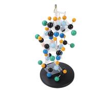 Fafeicy Modelo Molecular de Proteínas Coloridas, Material Didáctico de Plástico, Modelado 3D para la Educación en Bioquímica y Biología en las Escuelas Secundarias