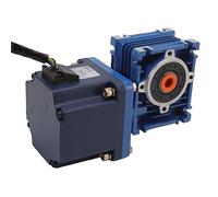 Fafeicy Motor DC sin Escobillas de 120W 24V, Motor sin Eje Hueco 5.0A, Vida útil de 30000 Horas con Cojinete de Rodillos de Engranaje de Acero Aleado para Electrodomésticos, Coche de (2000r/min)