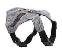 Fafeims ArnéS y Correa para Conejos, Chaleco para Conejos, Adecuado para Paseos de, S (S)