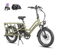 Fafrees Bicicleta Eléctrica Longtail FF20 CUV, 2 x Baterías de 12 Ah Bici de Carga Eléctrica 250W para Adultos, Capacidad de 200 kg, Alance 100-140 KM (Estándar, Verde)