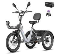 Fafrees F20 Mate II E Bike Bicicleta plegable | Triciclo eléctrico para hombres y mujeres, 250 W 48 V, batería de 21 Ah, carga de 180 kg, frenos hidráulicos (gris, amperios horas, 21)
