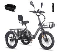 Fafrees F20 Mate Triciclo Eléctrico, Batería de 48 V/23.45 Ah, Alcance 120 KM, Asiento con Respaldo, Cesta Delantera, Triciclo eléctrico Plegable de 20" x 3,0" para Adultos Mayores (Gris)