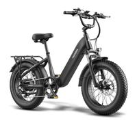Fafrees F26 Rover E Bike Fatbike 20 pulgadas para adultos Pedelec 20Ah 48V [Oficial] Bicicleta eléctrica para hombre y mujer 25 km/h, bicicleta eléctrica 250 W, bicicleta eléctrica 150 kg, bicicleta