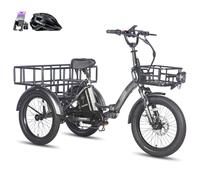 Fafrees Triciclo Eléctrico F20 Mate para Adultos, Plegable 20" x 3", Batería de 48 V/20 Ah, Frenos Hidráulicos, Triciclo de Carga Eléctric 250W, Alcance 115km (Gris, Cesta Delantera + rejillagrande)