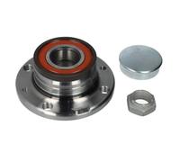 FAG Juego de cojinetes de rueda 713 6907 10 Schaeffler