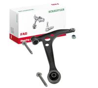 FAG (Schaeffler) Barra oscilante de suspensión de ruedas 821 0254 10 delantera derecha