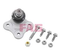 FAG Traggelenk Delante Para Fiat Doblo Gran Espacio Opel Combo Tour