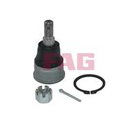 FAG Traggelenk Dirección Delantera Compatible Para Honda CR-V II RD