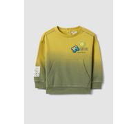 FAGOTTINO, Sudadera Multicolor De Niño En Algodón Puro Regular Fit Con Parche, Niño, Verde/Amarillo, Talla: 12-18