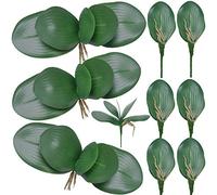 FagusHome 10 Piezas de Hojas de orquídeas Phalaenopsis Artificiales de 11 Pulgadas, Hojas Verdes de orquídeas Falsas (C)