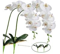 FagusHome 2 Piezas Flores Artificiales Orquídea Phalaenopsis Mariposa 105cm con 2 Piezas Hojas de Orquídea Phalaenopsis Hojas (2)