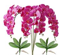 FagusHome 4 Piezas Flores Artificiales Orquídea Phalaenopsis Mariposa 80cm con 2 Piezas Hojas de Orquídea Phalaenopsis Hojas (Púrpura)