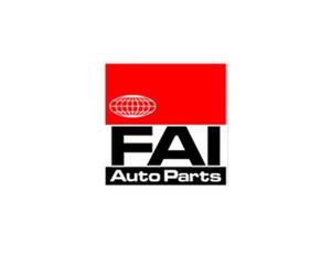 Fai autoparts - Tck117wo fai maletín con juego de cadena oe calidad