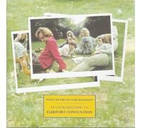 Fairport Convention - What We Did on Our Holiday [Import]