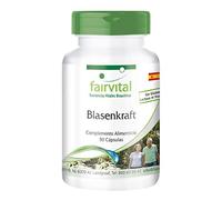 fairvital Cápsulas para la vejiga, 90 cápsulas, con semillas de calabaza, vara de oro, sumac, hipérico y vitamina E, ALTA DOSIS, VEGANO