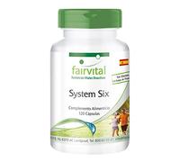 fairvital System Six, VEGANO, 120 cápsulas, con cromo, yodo, L-carnitina, té verde, espirulina, garcinia cambogia y más