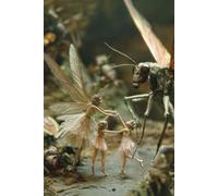 Fairy Dance: An Enchanted Journal: A 6 x 9 Inch Fantasy Notebook with 200 White Pages - Whimsical Double Cover