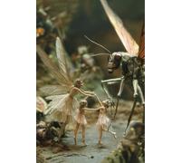 Fairy Dance: An Enchanted Journal: A 6 x 9 Inch Fantasy Notebook with 200 White Pages - Whimsical Double Cover