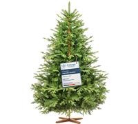 FairyTrees Árbol De Navidad Artificial ALPENTANNE Premium Verde