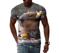 Faites bouger vos enfants! [Francia] [DVD]