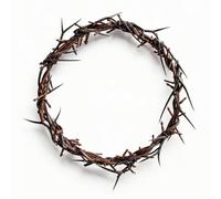 FaithHopeLove Corona de Espinas de Jesús, Corona de Espinas Resistente a la descomposición, símbolo de Jesucristo, Eventos de Iglesia y decoración del hogar, JesusCrown Lifesize 8