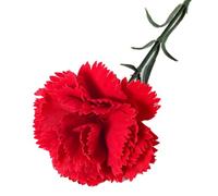 Fake Carnation Silk Flowers - Artificial Carnations Decor, Stylish Elegant Display, Realistic Everlasting Floral Arrangement | Suitable for Bedroom Garden Vase Porch Patio Birthdays Walkway Living Roo