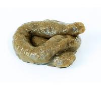 Fake Dog Poo Sticky Realistic Novelty Joke Turd Toy Practical Joke Fancy Dress by Home & Leisure Online