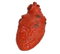 Fake Heart Prop - Bloody Human Heart | Halloween Haunted House Decor, Reali