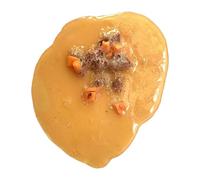 Fake Vomit Barfed - Prank Joke Novelty TPR Vomit Toy | Fun Pranks for Friends, Educational Demonstrations, Halloween Party Props, Film & TV Props, Gag Gift, Practical Joke, Funny Toy