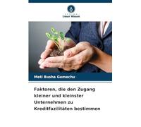 Faktoren, die den Zugang kleiner und kleinster Unternehmen zu Kreditfazilitäten bestimmen
